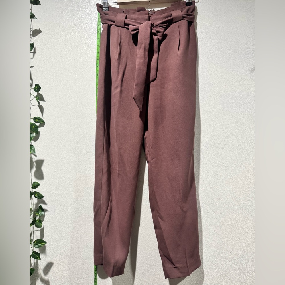 Express Mauve Paperbag Pants